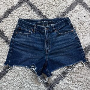 American Eagle Outfitters Women's Strigid Curvy Relaxed Shorts